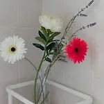 Apartamento Torre - A Due Passi Dal Centro *