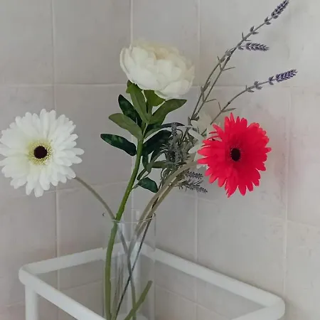 Apartamento Torre - A Due Passi Dal Centro *