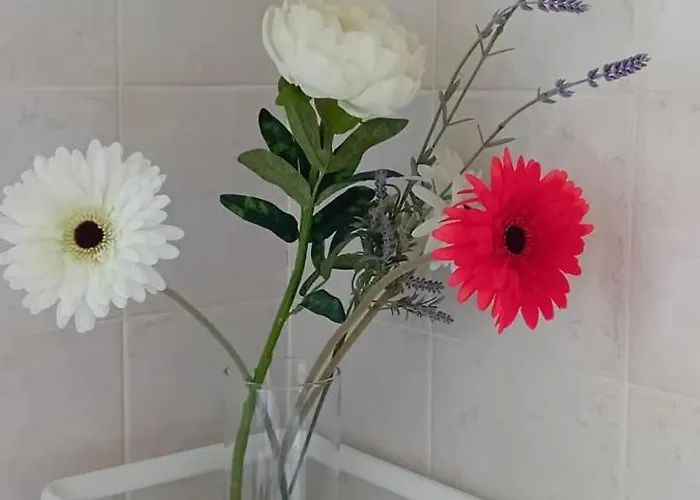 Daire Torre - A Due Passi Dal Centro *