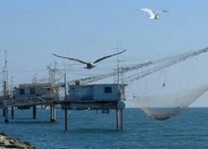 Daire Torre - A Due Passi Dal Centro Ravenna